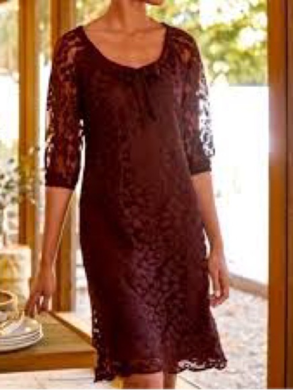 Garnet Hill Bohemia Lace Dress in Deep Brown